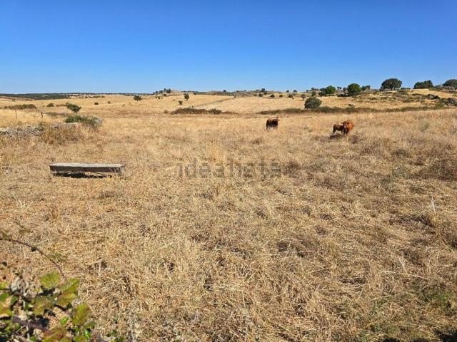 Terreno en venta en Villa Del Rey, Extremadura