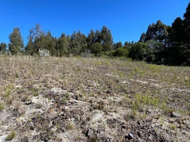 Terreno venda em Região Geográfica Imediata de Caxias do Sul, Flores da Cunha