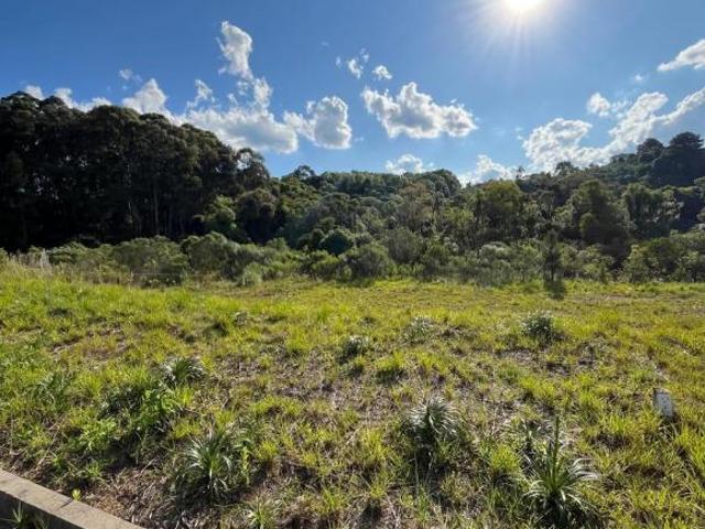 Terreno venda em Região Geográfica Imediata de Caxias do Sul, Flores da Cunha