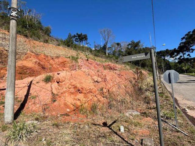 Terreno venda em Região Geográfica Imediata de Caxias do Sul, Flores da Cunha