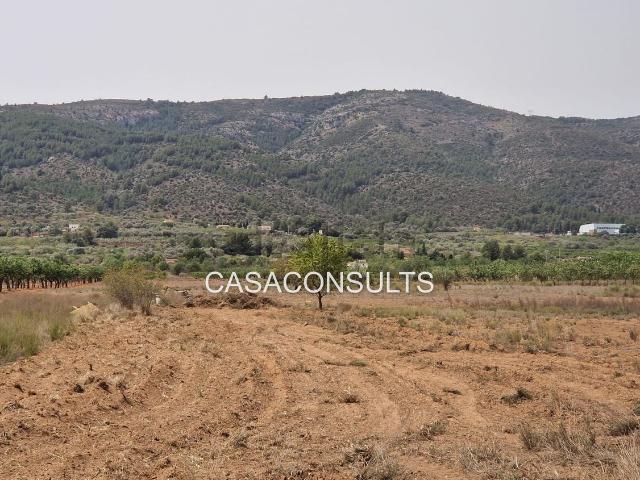 Terreno en venta en la Plana Alta, Valencia