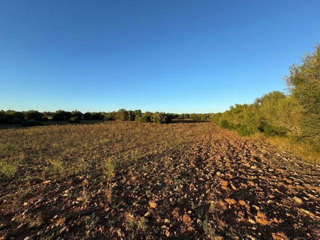 Terreno en venta en Pla de Mallorca, Baleares