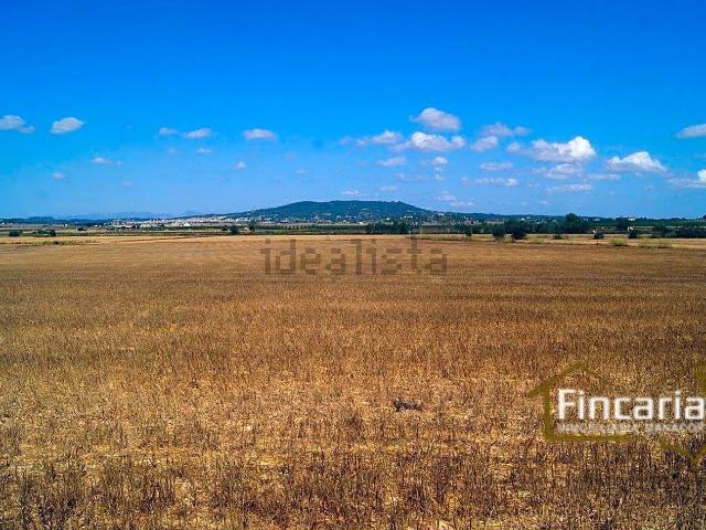 Terreno en venta en Pla de Mallorca, Baleares