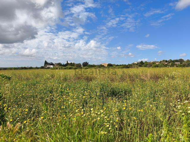 Terreno en venta en Pla de Mallorca, Baleares