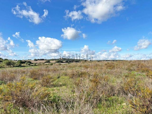 Terreno en venta en Pla de Mallorca, Baleares