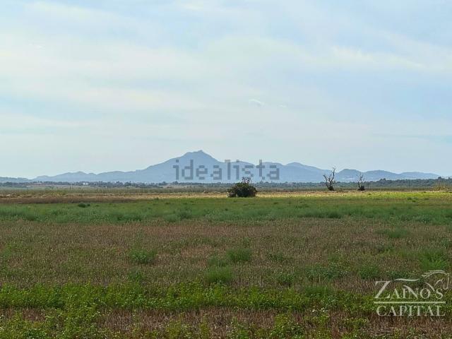 Terreno en venta en Pla de Mallorca, Baleares