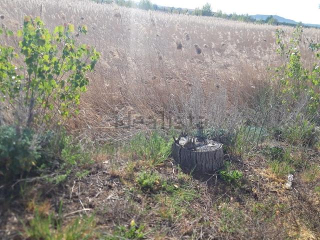 Terreno en venta en Villalazán, Castilla y León