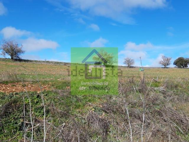 Terreno en venta en Prado de la Iglesia, Villalube