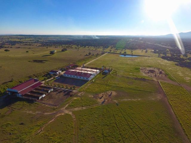 Terreno en venta en Villamesías, Extremadura