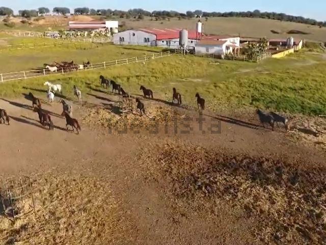 Terreno en venta en Villamesías, Cáceres