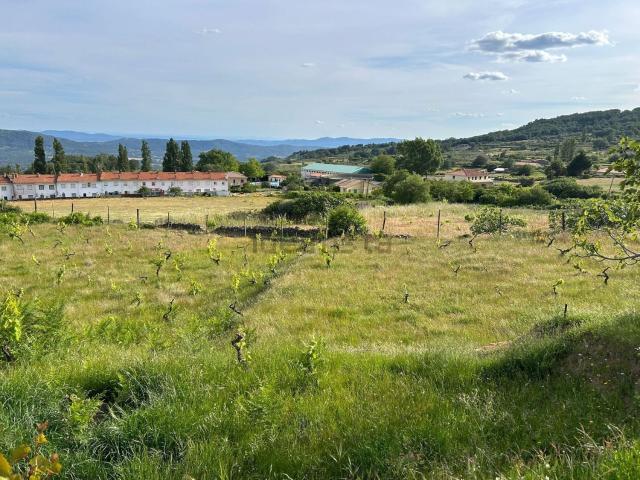 Terreno en venta en San Martín De Trevejo, Extremadura