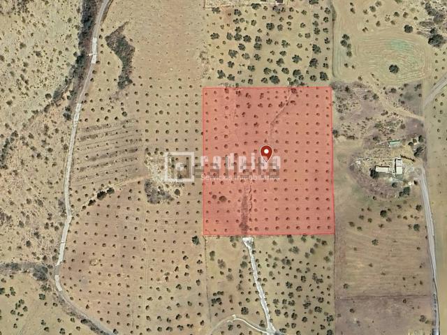 Terreno en venta en Antequera, Andalucía