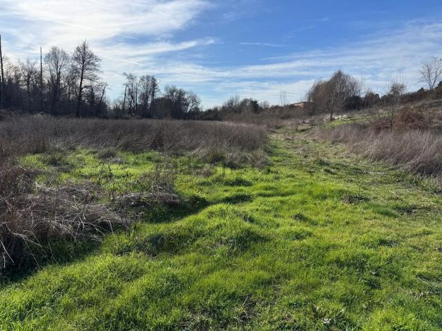 Terreno en venta en Villanueva De La Vera, Extremadura