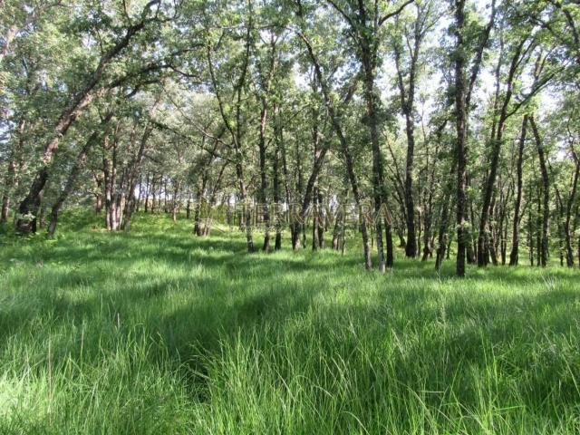 Terreno en venta en Madrigal De La Vera, Extremadura