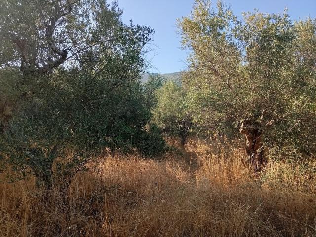 Terreno en venta en Villanueva De La Vera, Extremadura