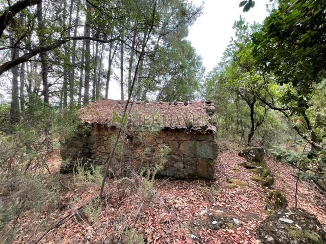 Terreno en venta en Villanueva De La Vera, Extremadura