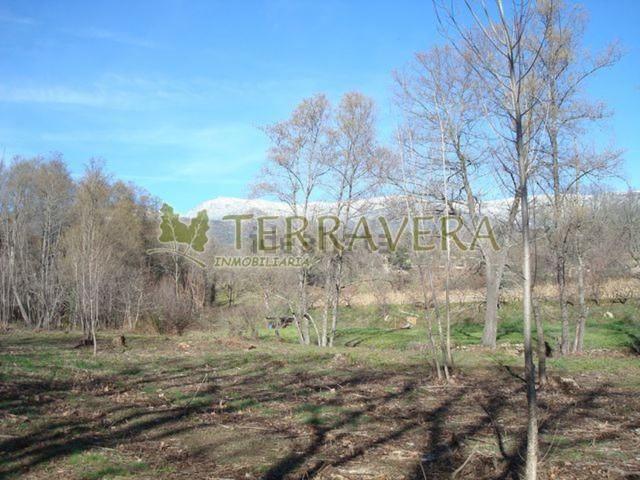 Terreno en venta en Villanueva De La Vera, Extremadura
