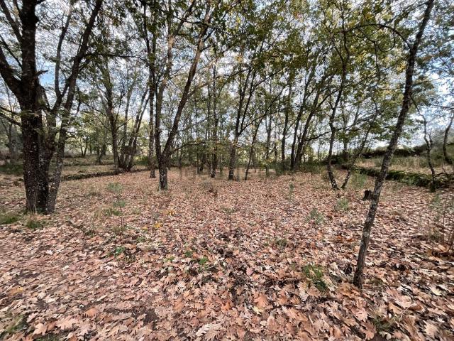Terreno en venta en Valverde De La Vera, Extremadura