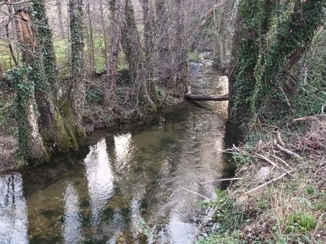 Terreno en venta en Villanueva De La Vera, Extremadura
