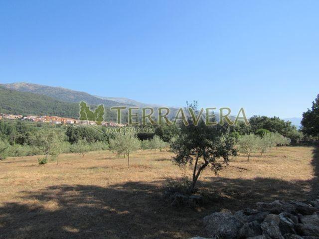 Terreno en venta en Villanueva De La Vera, Extremadura