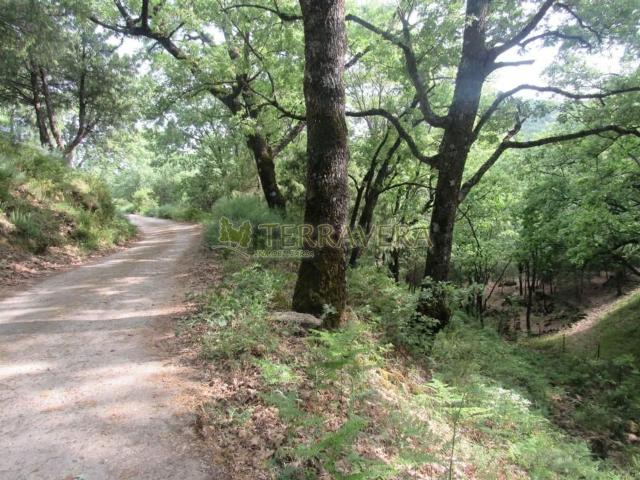 Terreno en venta en Villanueva De La Vera, Extremadura