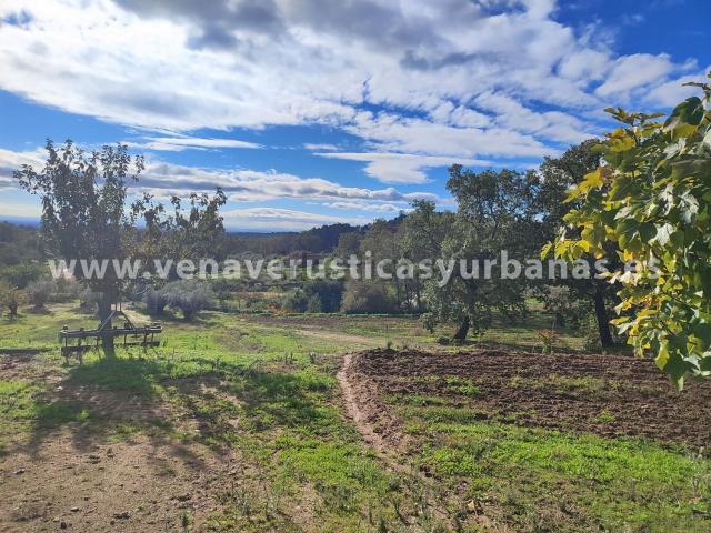 Terreno en venta en Villanueva De La Vera, Extremadura