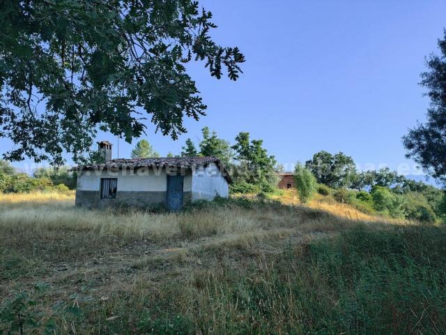 Terreno en venta en Villanueva De La Vera, Extremadura