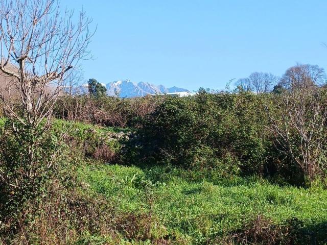 Terreno en venta en Villanueva De La Vera, Extremadura