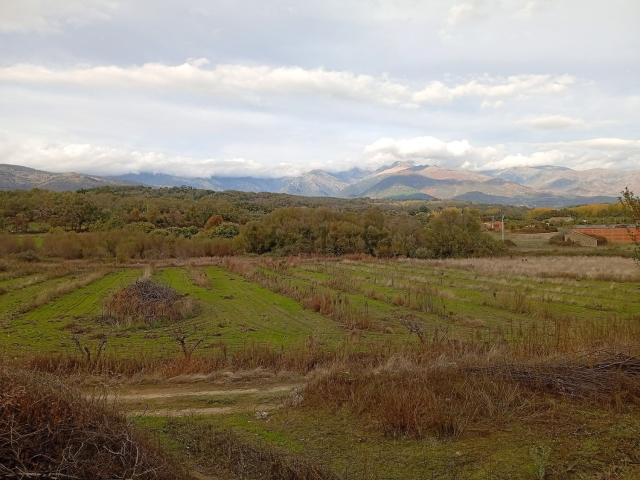 Terreno en venta en Villanueva De La Vera, Extremadura