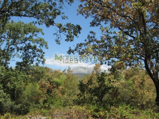 Terreno en venta en Villanueva De La Vera, Extremadura