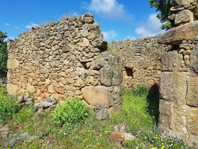 Terreno en venta en Villanueva De La Vera, Extremadura