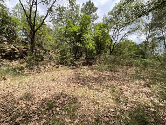 Terreno en venta en Villanueva De La Vera, Extremadura