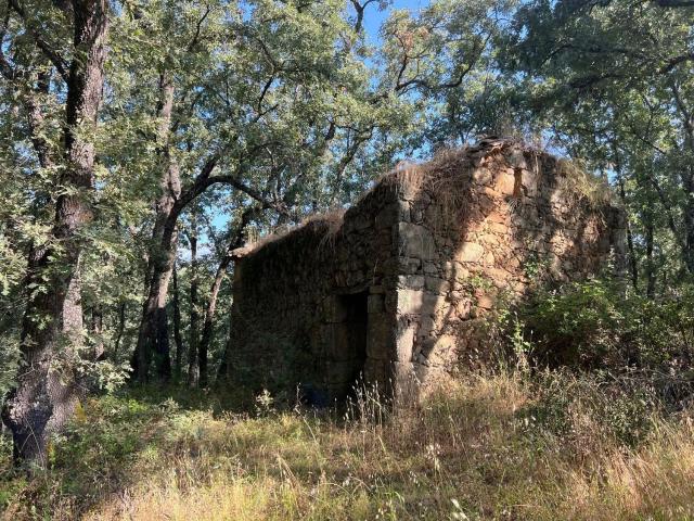 Terreno en venta en Villanueva De La Vera, Extremadura