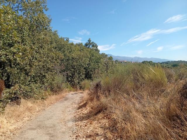 Terreno en venta en Villanueva De La Vera, Extremadura