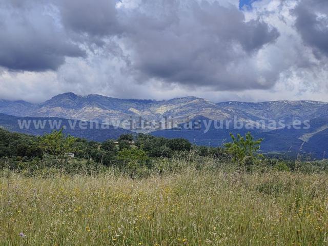 Terreno en venta en Villanueva De La Vera, Extremadura