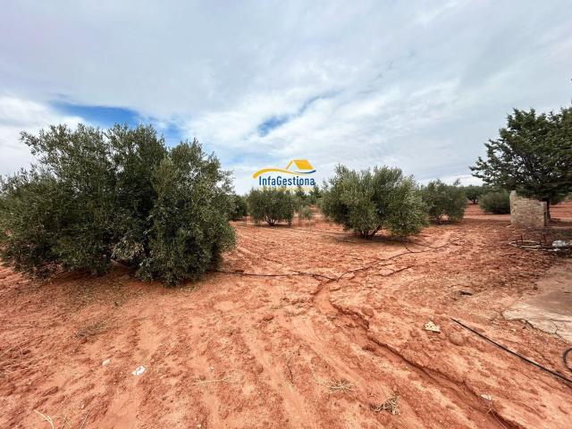 Terreno en venta en Villanueva De Los Infantes, Castilla-La Mancha