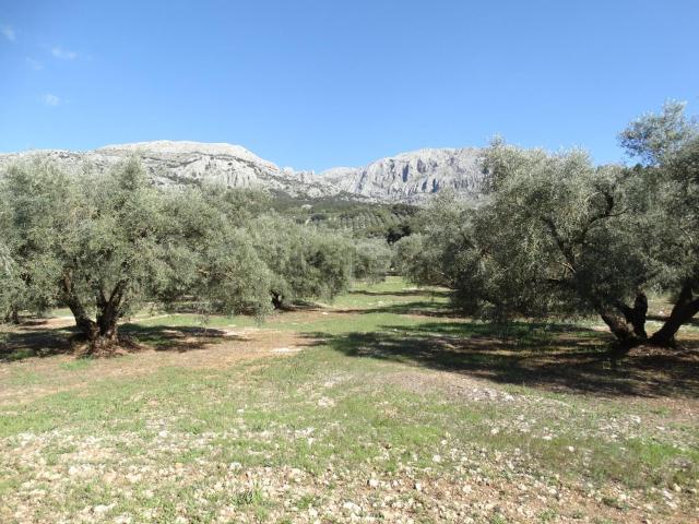 Terreno en venta en Nororma, Andalucía