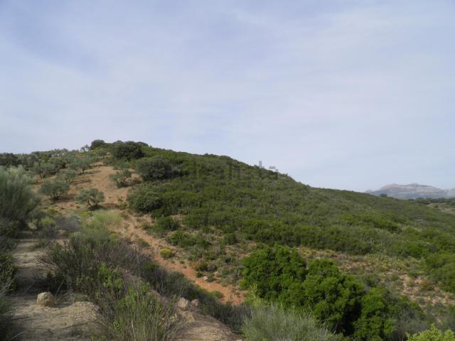 Terreno en venta en Nororma, Andalucía