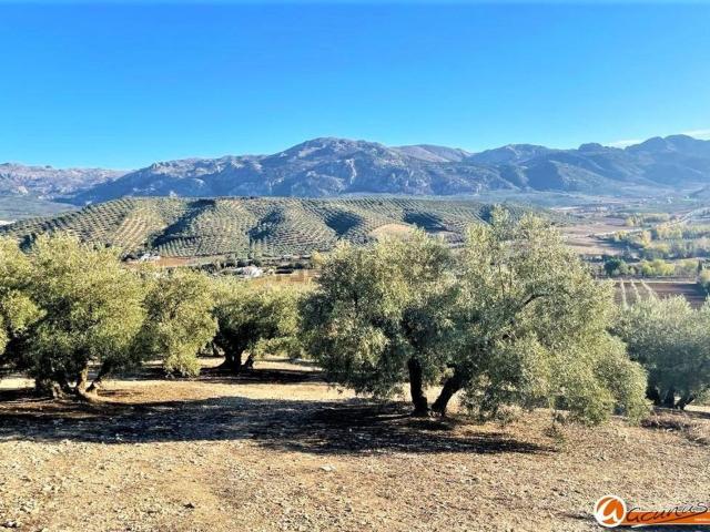 Terreno en venta en Nororma, Andalucía