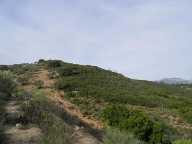 Terreno en venta en Nororma, Andalucía