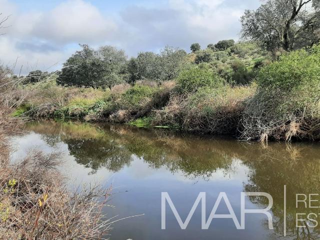 Terreno en venta en Villar Del Pedroso, Extremadura