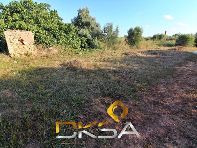 Terreno en venta en la Plana Baixa, Valencia