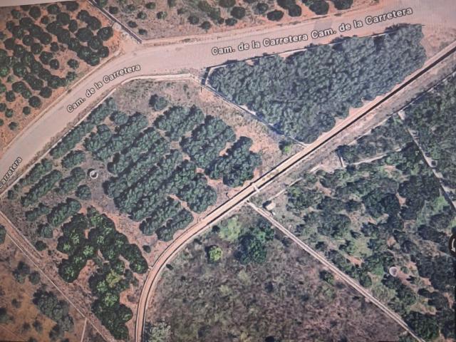 Terreno en venta en la Plana Baixa, Valencia