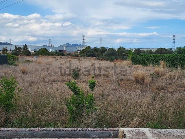 Terreno en venta en la Plana Baixa, Valencia