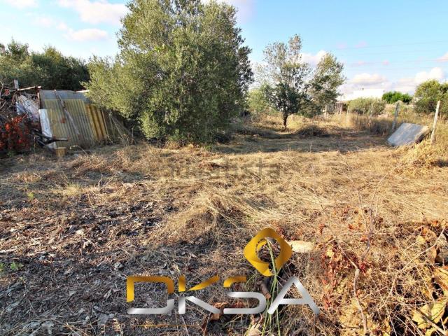 Terreno en venta en la Plana Baixa, Valencia