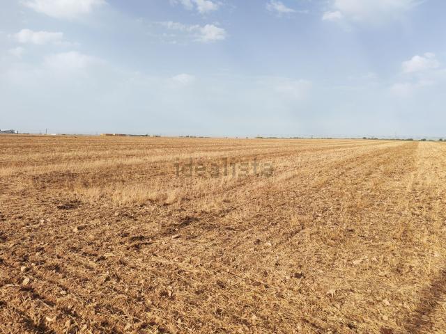 Terreno en venta en Villarta De San Juan, Castilla-La Mancha