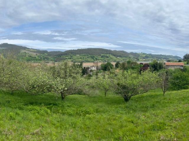 Terreno en venta en Villaviciosa, Asturias
