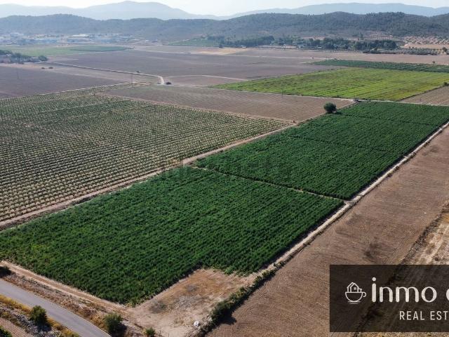 Terreno en venta en l'Alt Vinalopó / El Alto Vinalopó, Valencia