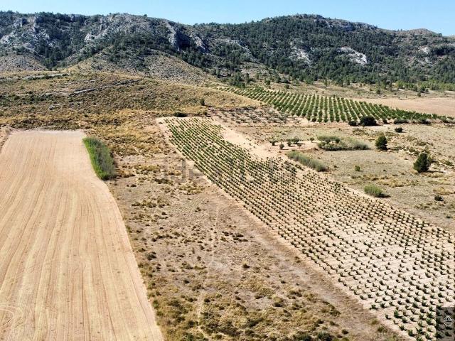 Terreno en venta en Las Virtudes, l'Alt Vinalopó / El Alto Vinalopó