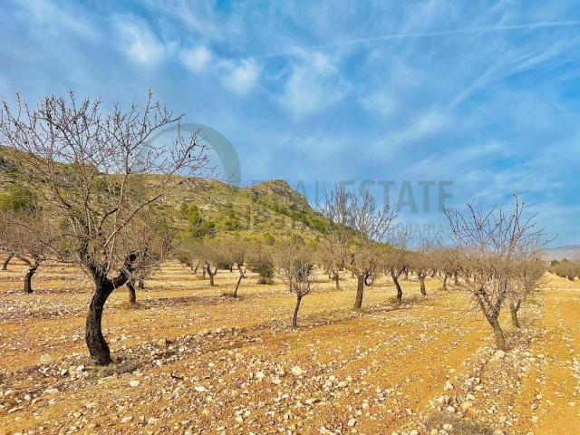 Terreno en venta en Las Virtudes, l'Alt Vinalopó / El Alto Vinalopó